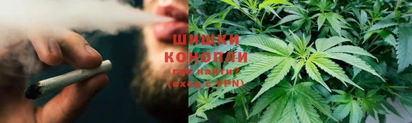 PSILOCYBIN Няндома